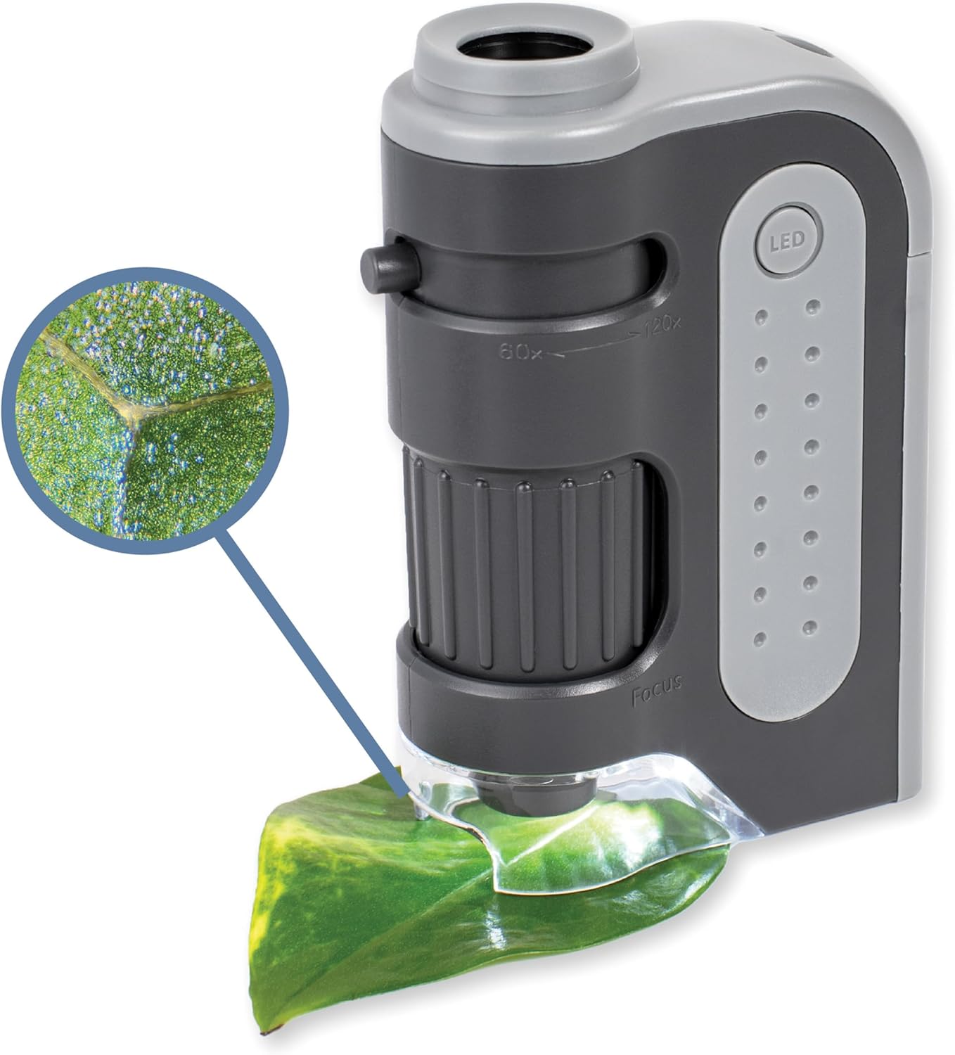 Carson MM-300 MicroBrite Plus im Test: Kompaktes Taschenmikroskop mit 60x–120x Vergrößerung
